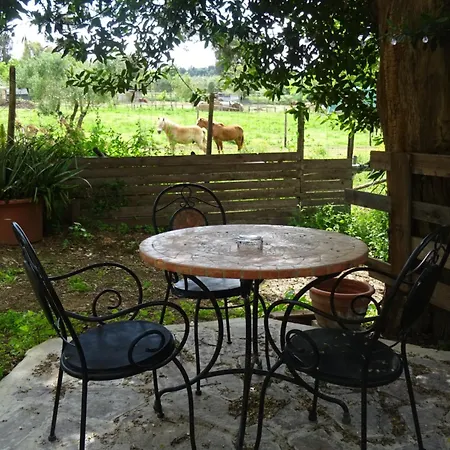 Casa de hóspedes D'ambra 3*