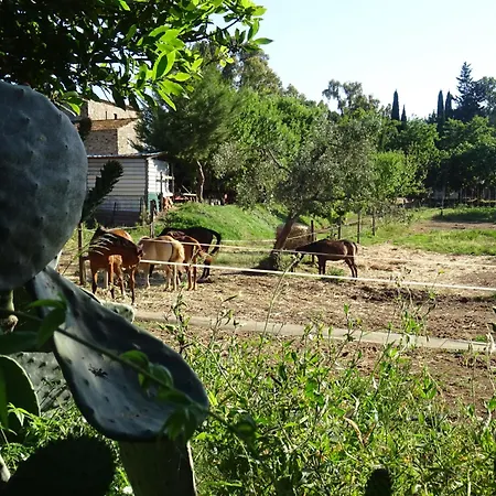 D'ambra 3* Campiglia Marittima